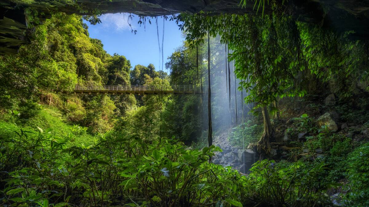 Stunning lookouts: The footbridge and Crystal Falls along the Wonga Walk in the Rainforest of Dorrigo National Park.