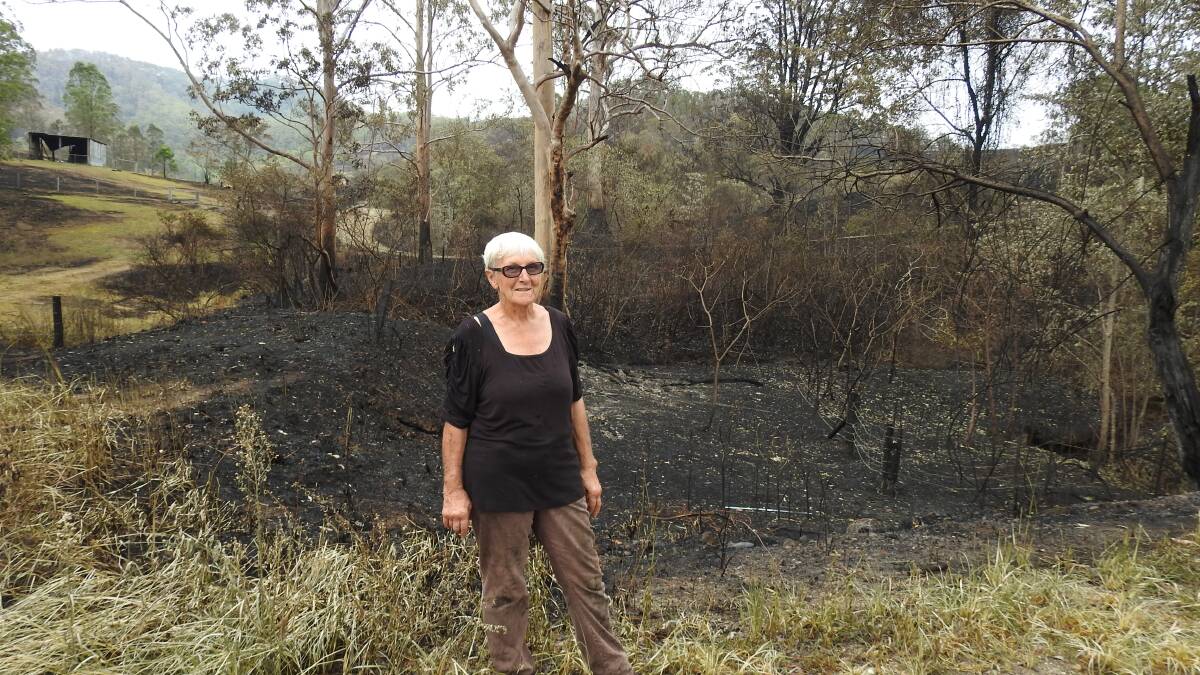 Dale Goldfinch says the fire started in the gully behind her, just off the Pappinbarra Road.