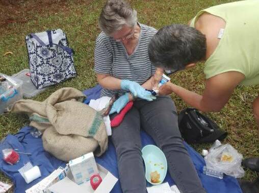 Helping hand: Pappinbarra resident Deidre Kerr assists​ FAWNA President Meredith Ryan t​o treat​ burnt feet on a wallaby bushfire victim​ on Febraury 15.
