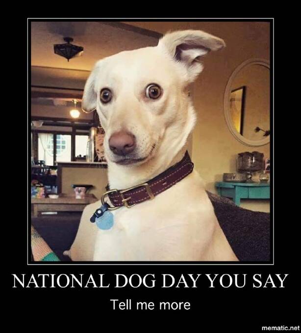 National Dog Day 2016 | photos