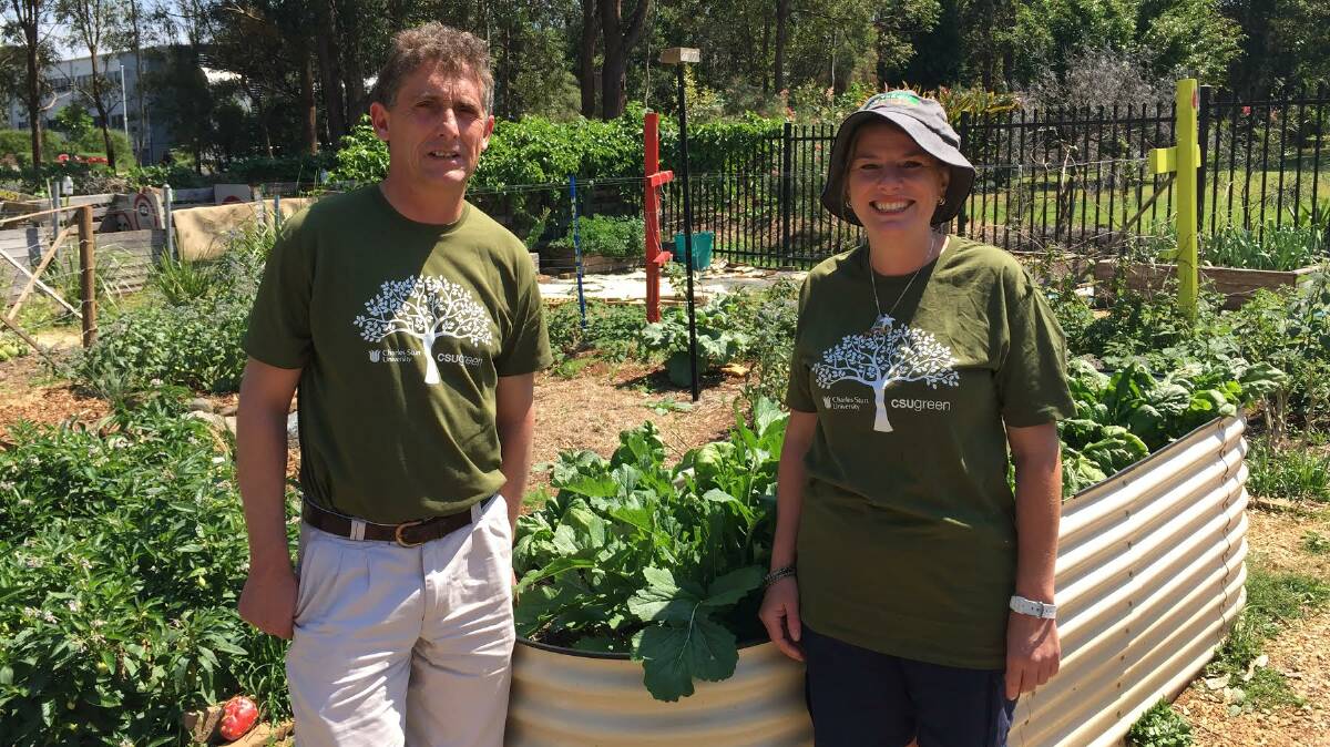 Sustainable choices: Organisers Nigel Urwin and Deborah Doyle want to promote discussion and awareness within the local community about food sustainability. 