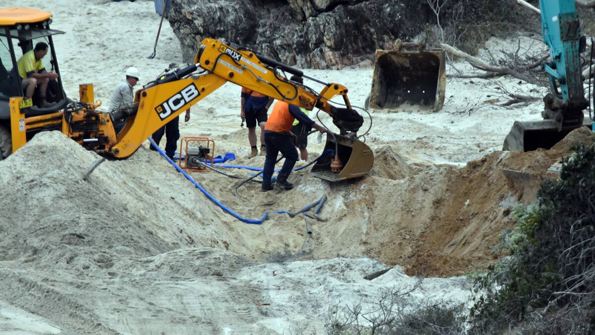 FINISHED: Exhumation of the whale at Nobby's Beach is now complete. Photo: Ivan Sajko
