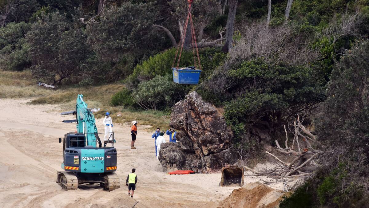 BIG JOB: Whale remains were lifted to the road and taken to landfill on Monday. Photo: Ivan Sajko