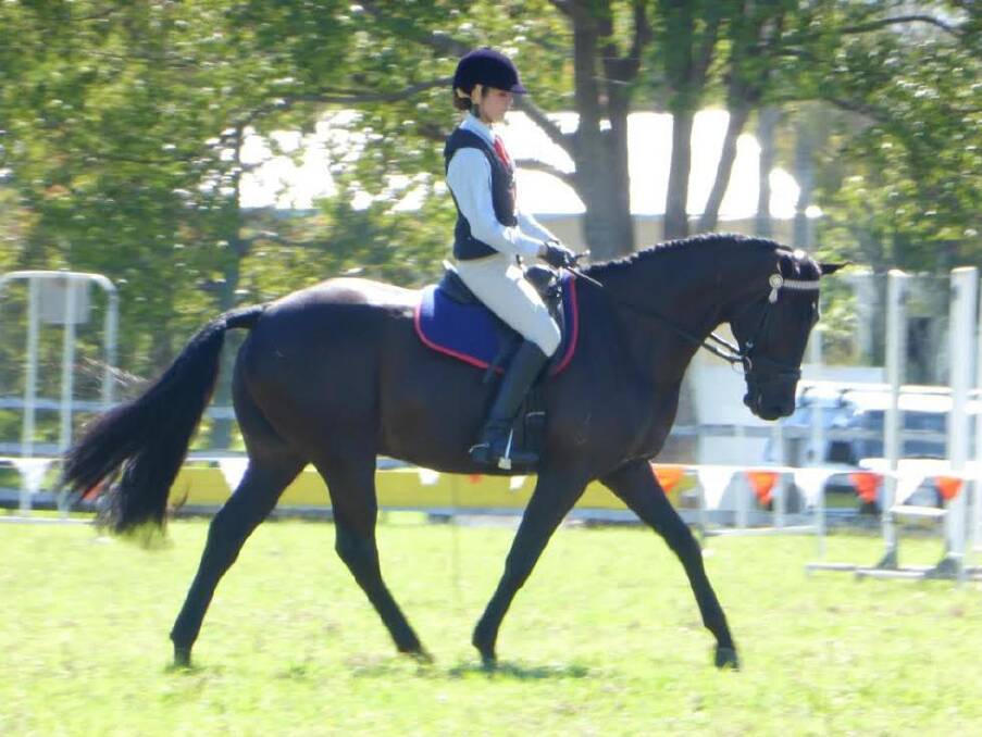 Great results: Sarah Parker on Duke was awarded fourth associate hack and second associate girl rider over 21yrs.