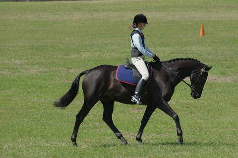 Competitive: Sarah Parker riding Wirrum Park Justified at the Zone 9 championships