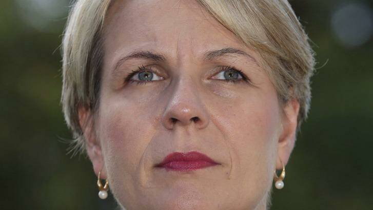 Acting Labor leader Tanya Plibersek wants her party to uniformly support same-sex marriage.   Photo: Andrew Meares