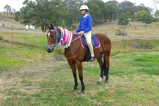 Successful weekend: Mikaela McKinnon competing at the Dungog Pony Club itnerclub day at the Dungog Showground.