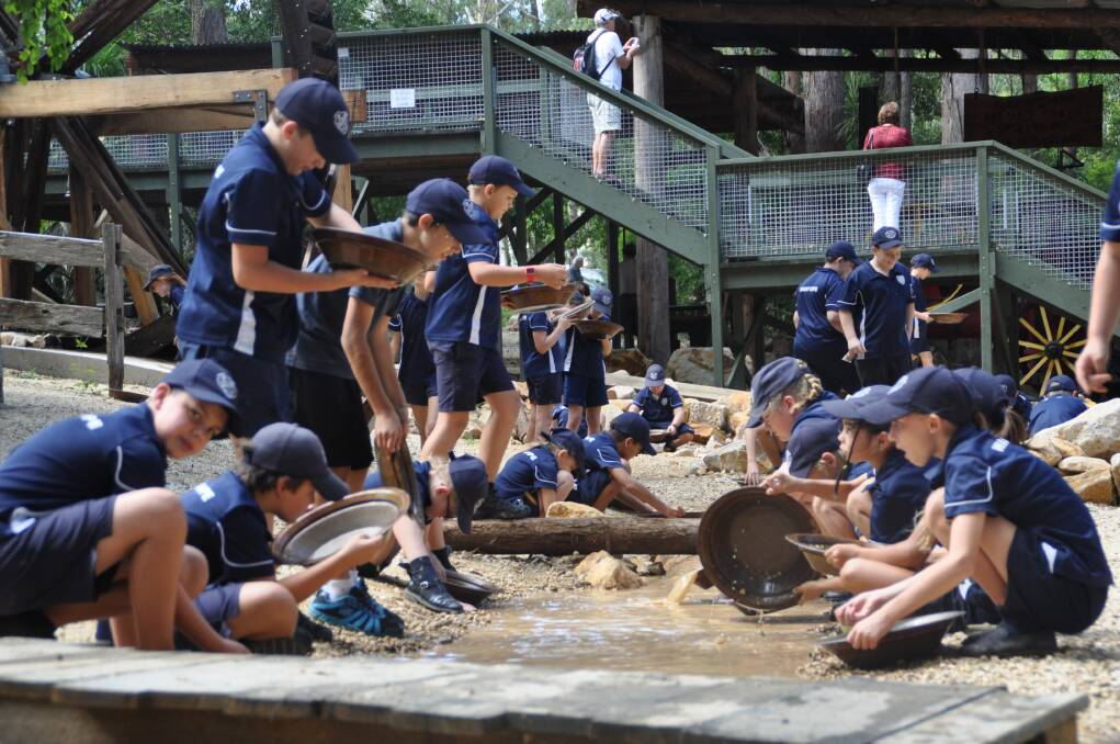 Prospectors: Some of the 100 Wauchope Primary School students pan for gold during their "reward day' hosted by Timbertown.