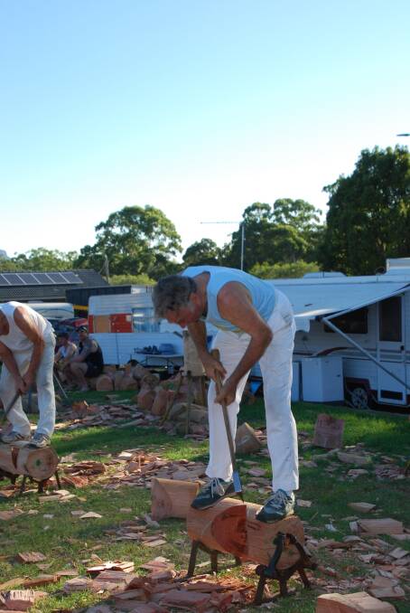 Viv Watts in action at the Wauchope Show.
