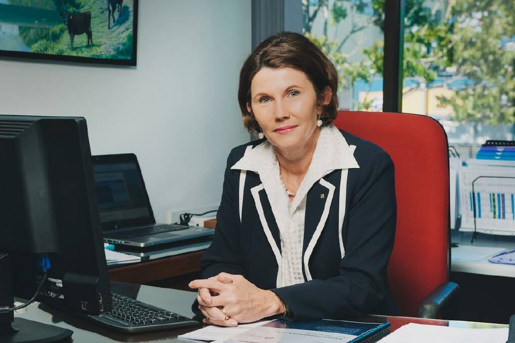 Focused: Lorraine Gordon has been appointed the CEO of Regional Development Australia for the Mid North Coast.