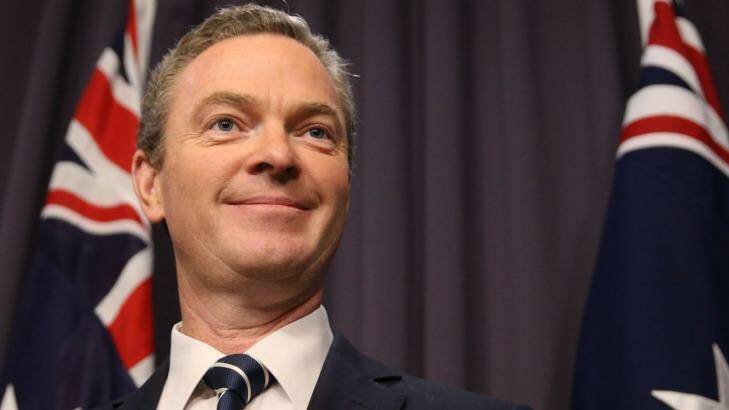 Christopher Pyne. Photo: Andrew Meares