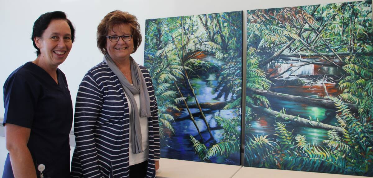 Cherished: Registered Nurse Denise Holz and Hastings artist Jill Cairns with the rainforest artworks painted in memory of Jill's brother and father, and donated in honour of those who work in palliative care.