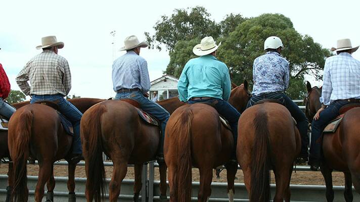 Record numbers for annual campdraft