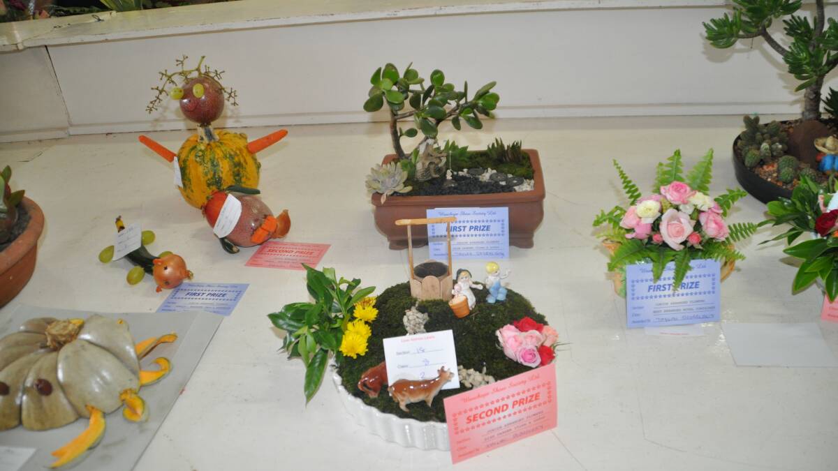 104th Annual Wauchope Show : Hall exhibitors 2014 (Photo:Libby Stewart)