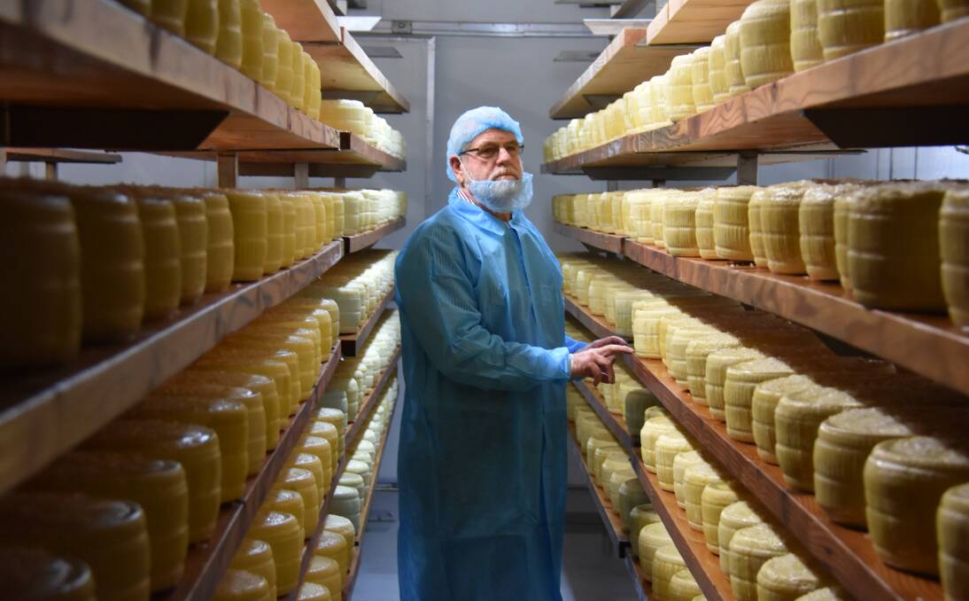 Close look: Mark Livermore of Real Dairy Australia inspects some of the cheese they make at the factory courtesy of local dairy farmers produce. Photo: Matt Attard