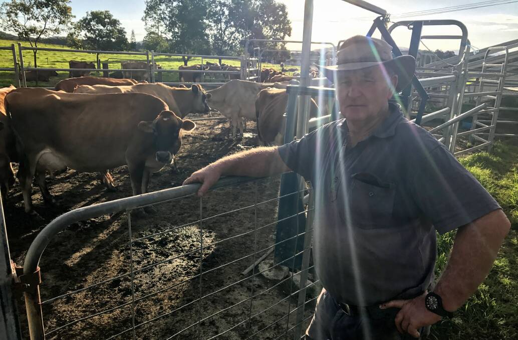 Tough times: Dairy farmers like Huntingdon’s Ian Lindsay are still struggling.