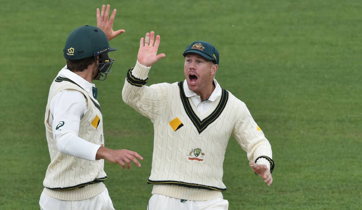 David Warner has divided opinion but will go down as one of Australia's greatest. Pictures by Scott Gelston