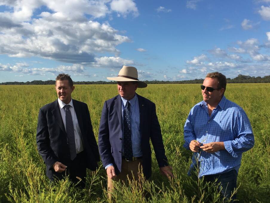 The good oil: Cowper MP Luke Hartsuyker, deputy PM Barnaby Joyce and Main Camp Natural Extracts' John Seccombe.