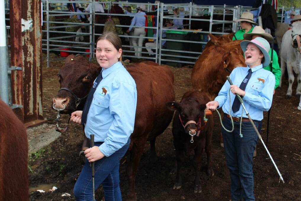 Show fun Alyssa Eames and DarcyJane Hancock of Wauchope High in the beef cattle ring at a recent Wauchope Show.
