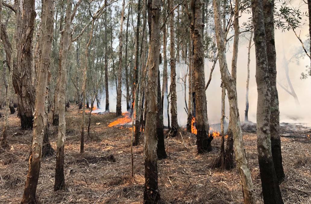 The aftermath: Lisa Willows' great photo shows the extent of the recent bushfires on our environment.