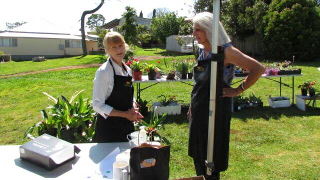 Ready to go: Comboyne's Kay White and Joan Brentnall-Redlich preparing the plant stall for sales.