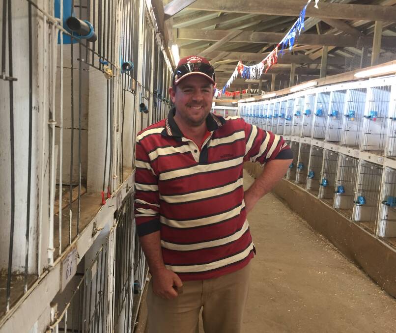 Celebration: Wauchope Poultry Club president Shane Debreceny is looking forward to the club's 50th annual show and dinner on Saturday June 22.