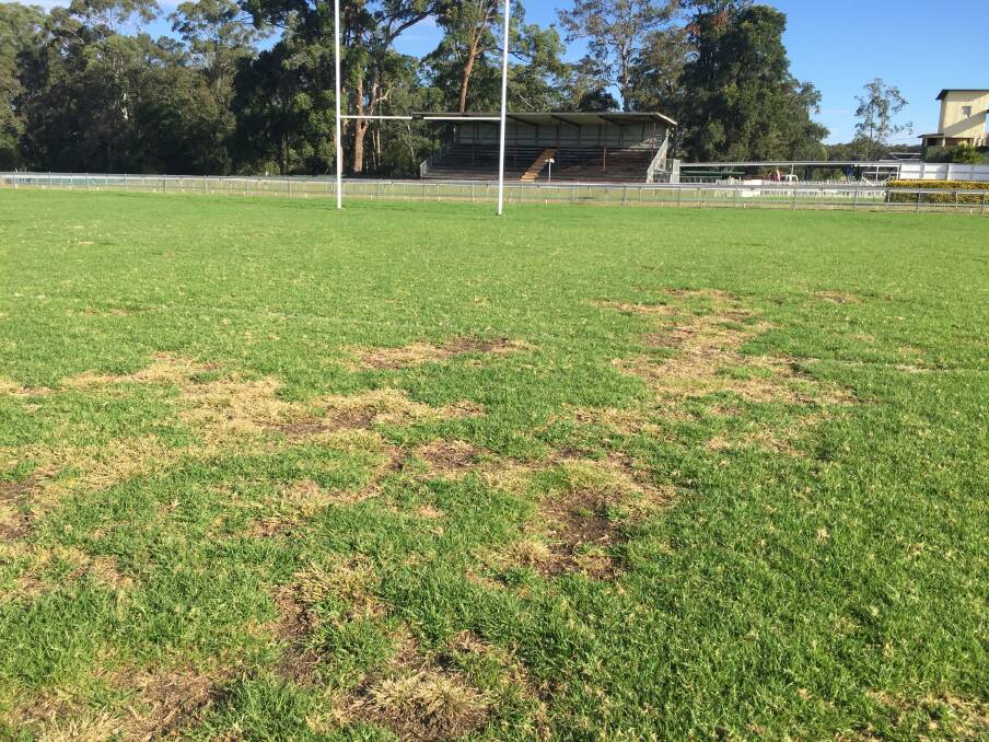 Frustrated: The Wauchope Blues are urging Port Macquarie-Hastings Council to increase its maintenance practices at the Lank Bain Sporting Complex.