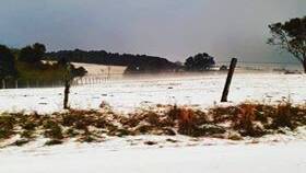 A hailstorm blanketed parts of Comboyne. Photo: Nerida Hurrell.