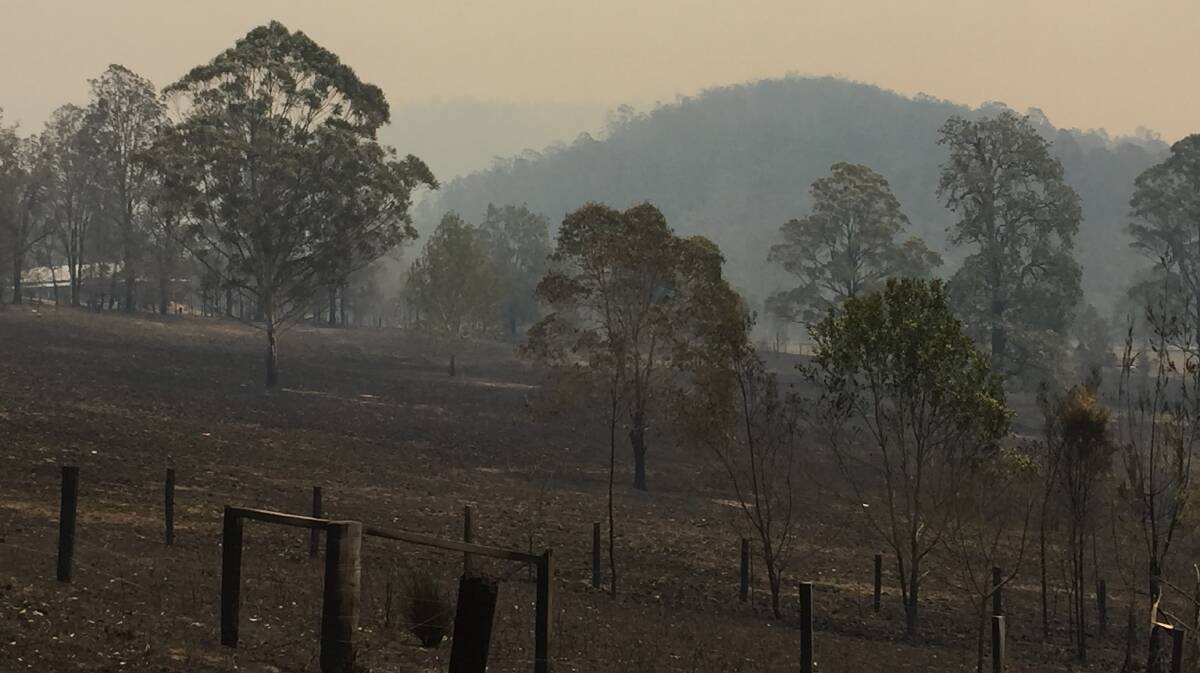 CHARRED LANDSCAPE: Upper Pappinbarra near where the bushfire destroyed homes on Friday night. Photo: Letitia Fitzpatrick.