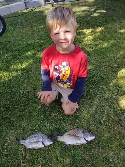 Hudson Cook's catch of bream.