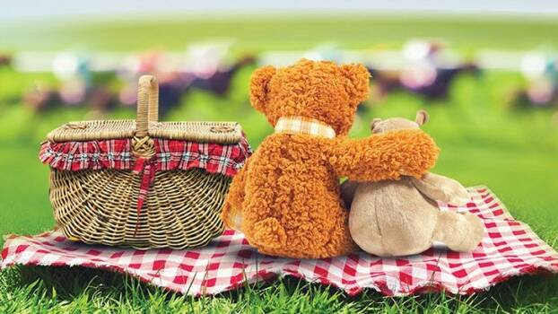 Free family fun and teddy bears picnic in Bain Park