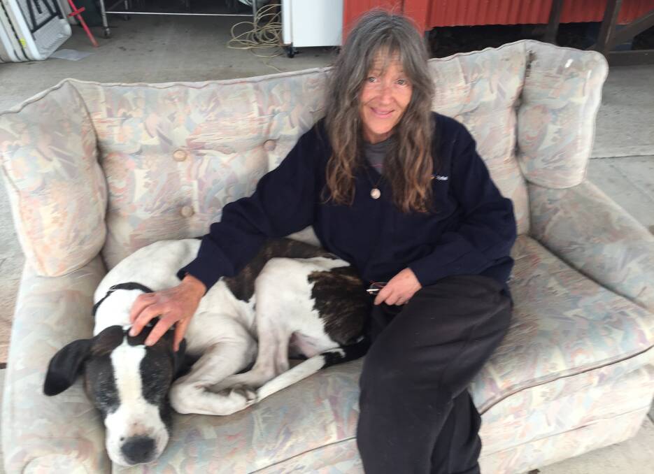 AFTERWARDS: Kelly and her dog, Zeus, are sleeping on a sofa outside Hollisdale Hall in Pappinbarra a the moment, and she is doing volunteer work for other fire victims. Photo: Letitia Fitzpatrick.