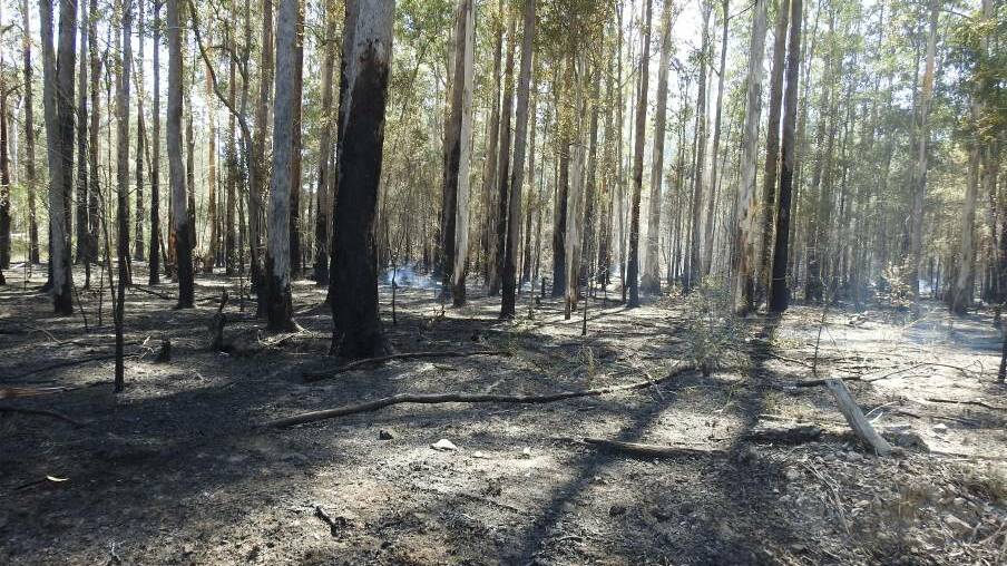 Forests closed due to extreme fire weather
