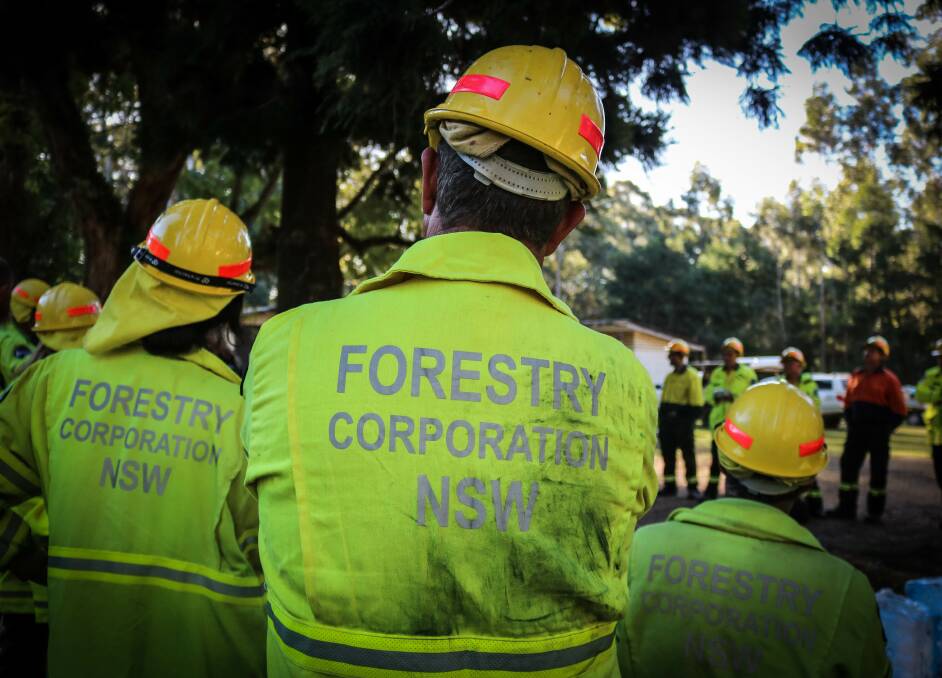 BUSY SEASON AHEAD: Forestry Corporation is responsible for preventing and managing fires in two million hectares of State forests across NSW.