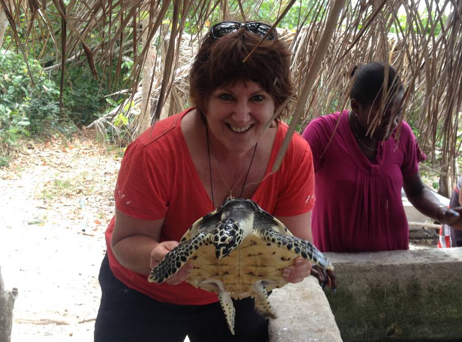 Robyn Flanagan from Wauchope Travel encounters a turtle on Vanuatu.