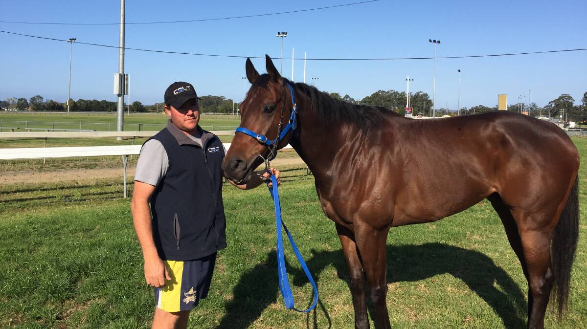 BIG CHANCE: Colt Prosser is hoping Prince Mayted can run in the $1.3m Kosciuszko race next month. Photo: Letitia Fitzpatrick