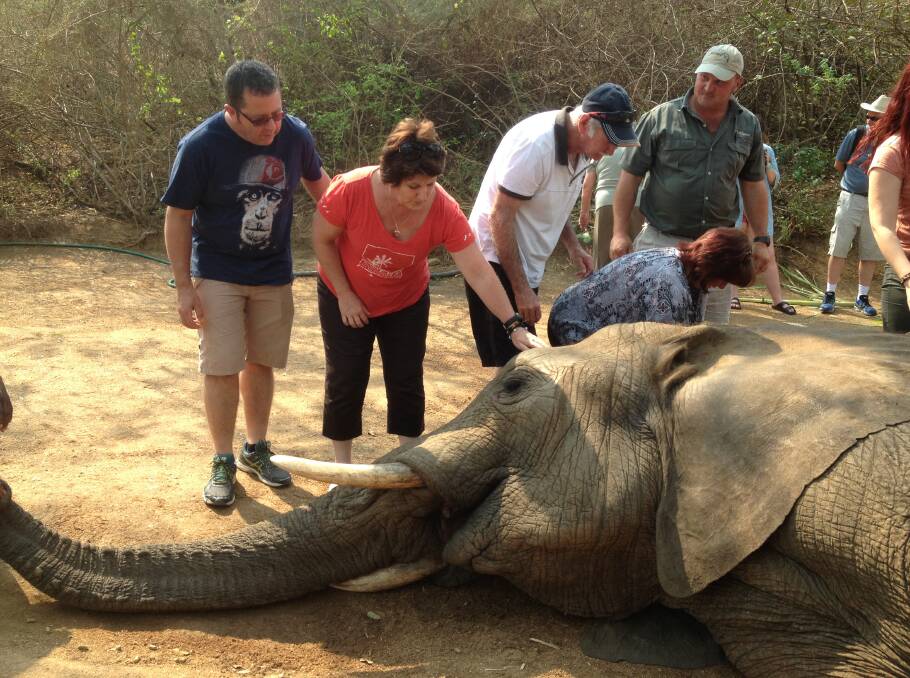 James and Robyn Flanagan pat an elephant at a sanctuary in South Africa.