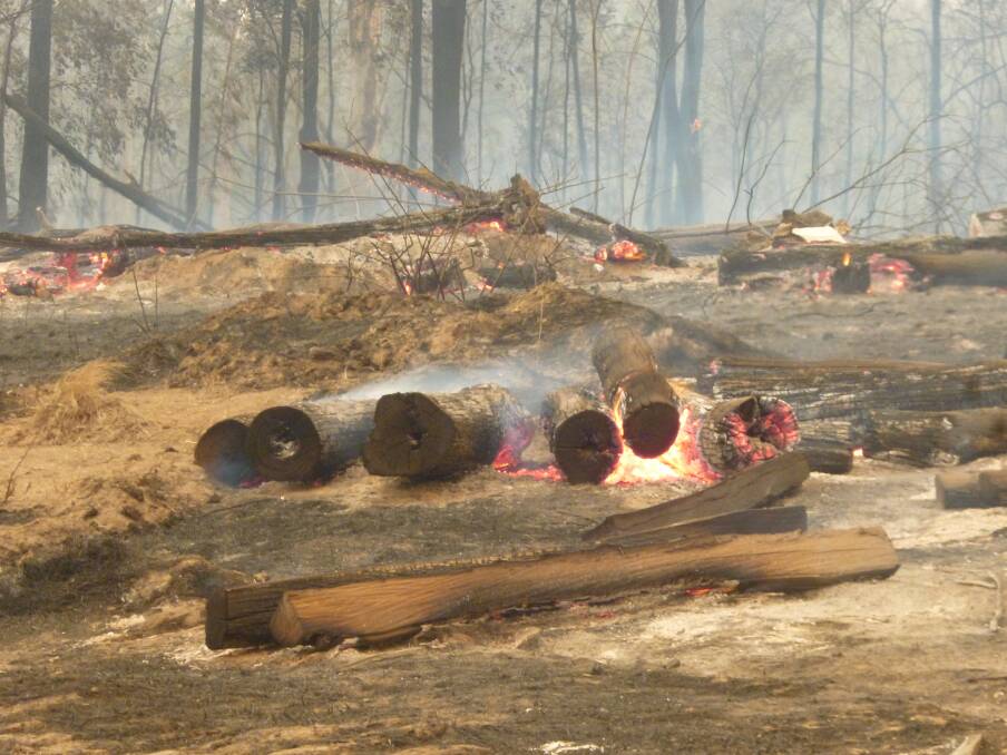 Logs burning at Bellangry.