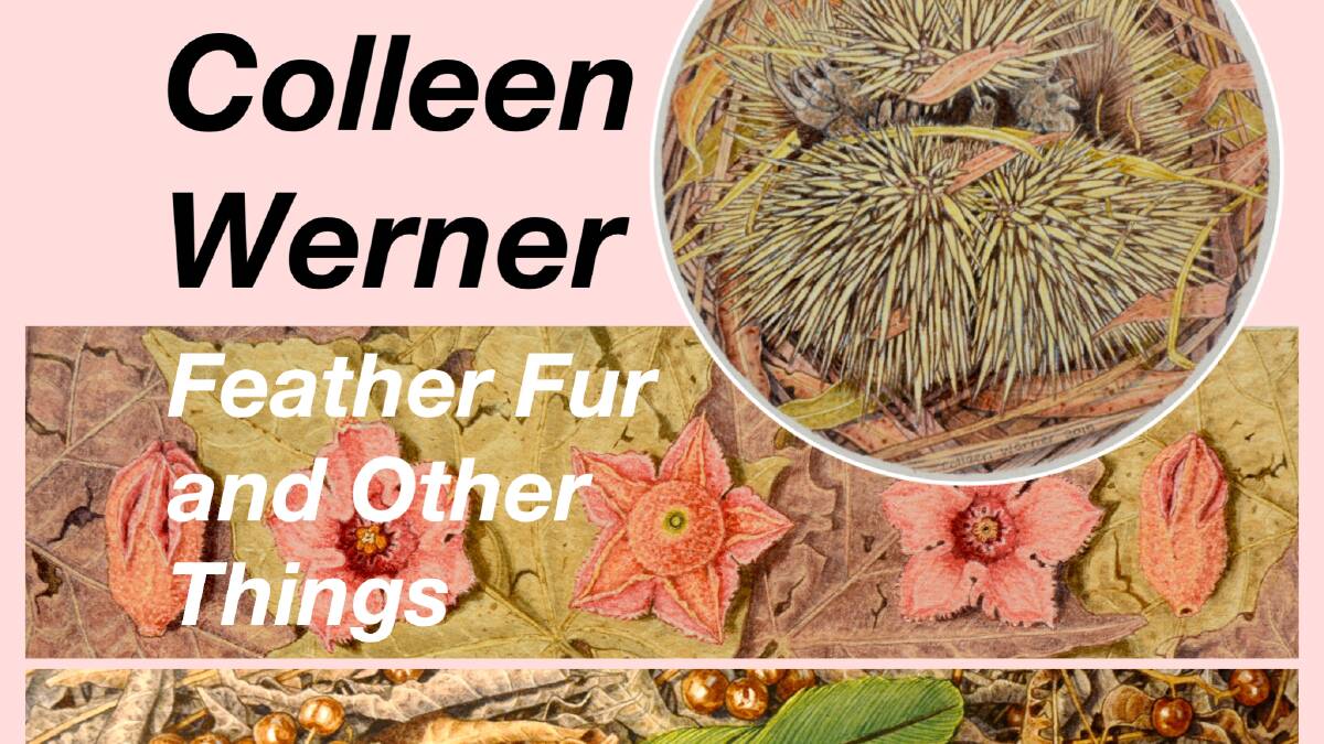 Feather, fur and other things