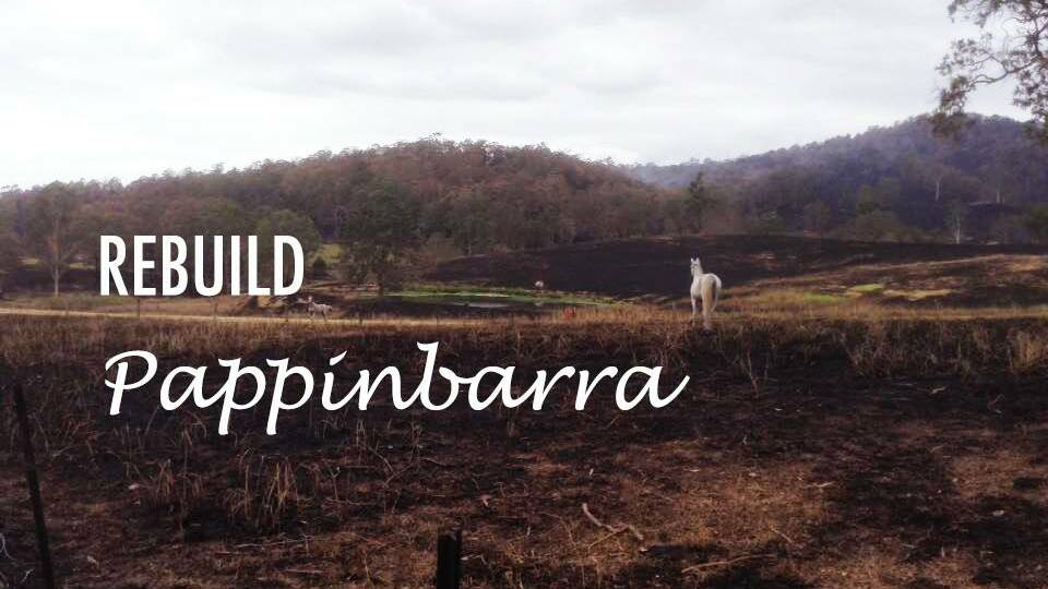 Rebuild Pappinbarra is the new Facebook page for anyone who wants to help.