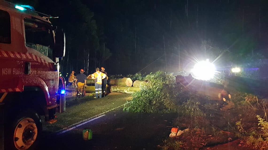 Wauchope Rural Fire Brigade clearing up after the storm.
