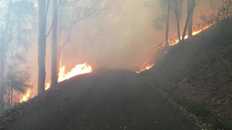 Pappinbarra bush fire, February 2017.  Photo by Rod Chetwynd, Fire & Rescue Wauchope.