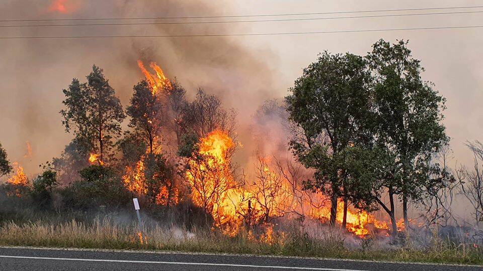 Still counting the cost of bushfires