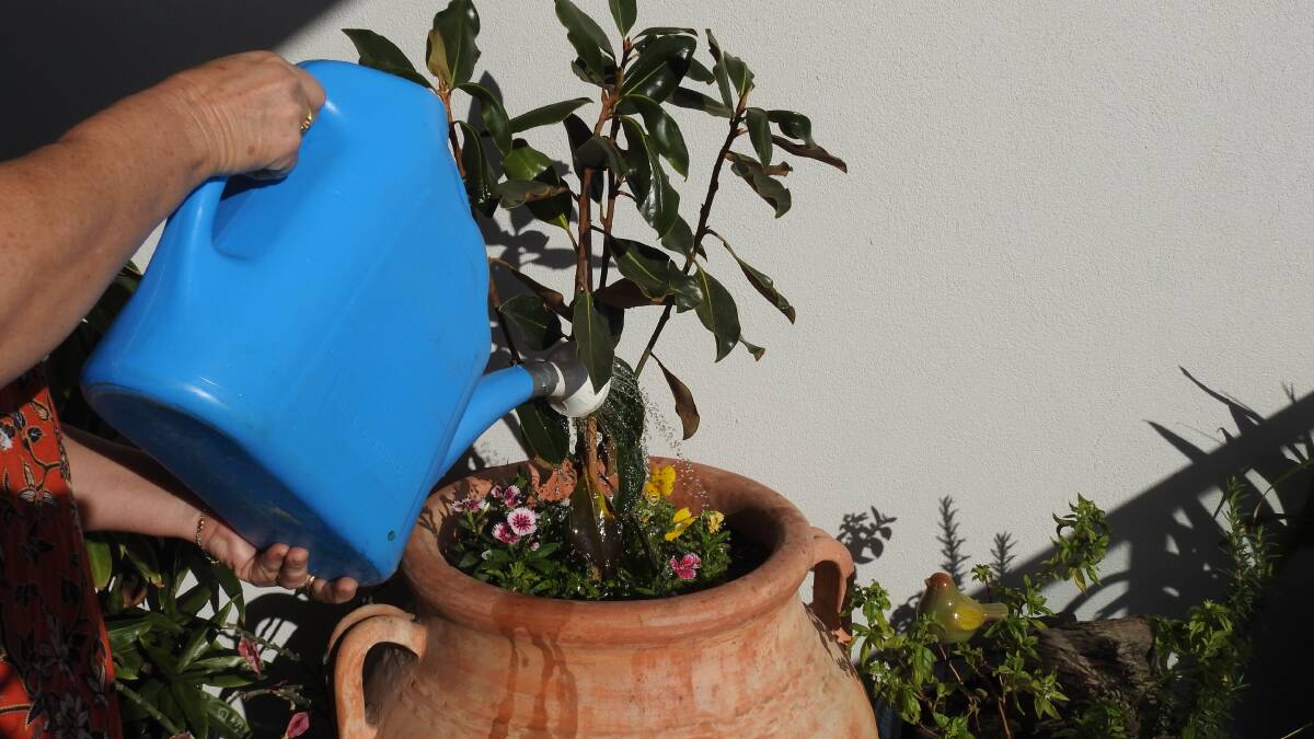 Use water wisely when gardening
