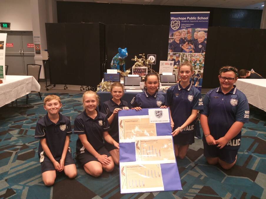 ALL SMILES: Wauchope Public School students enjoyed their koala project and were delighted to come second in the primary school section.