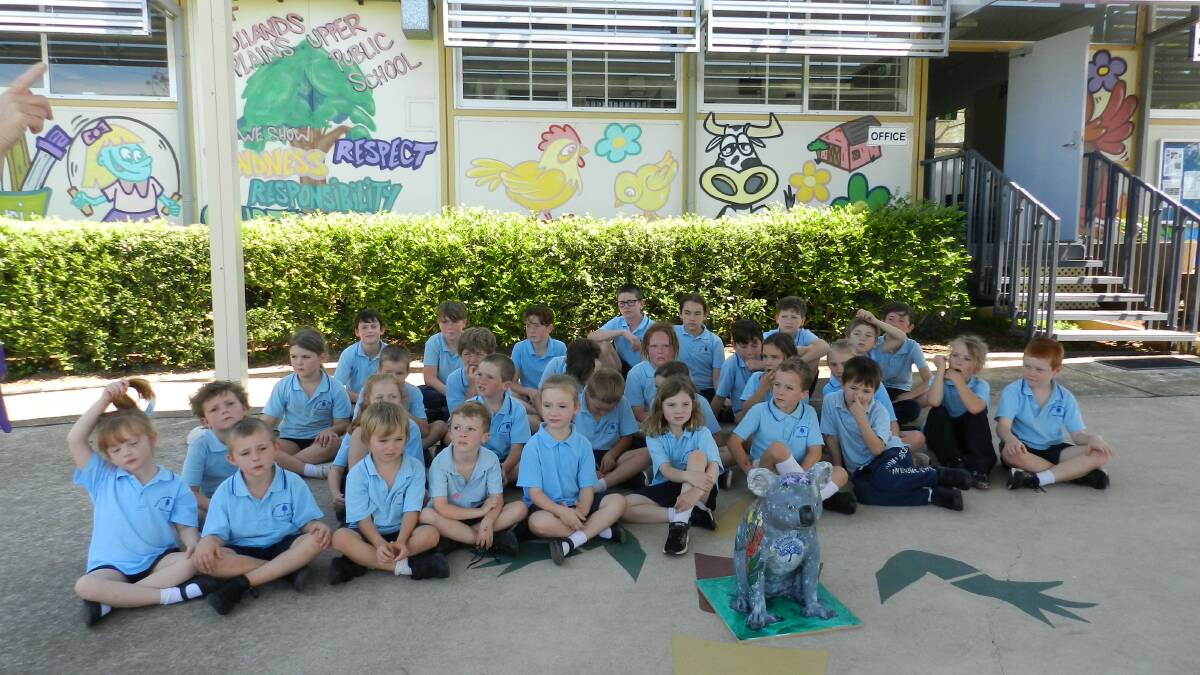 Students from Upper Rollands Plains Public School with their koala.