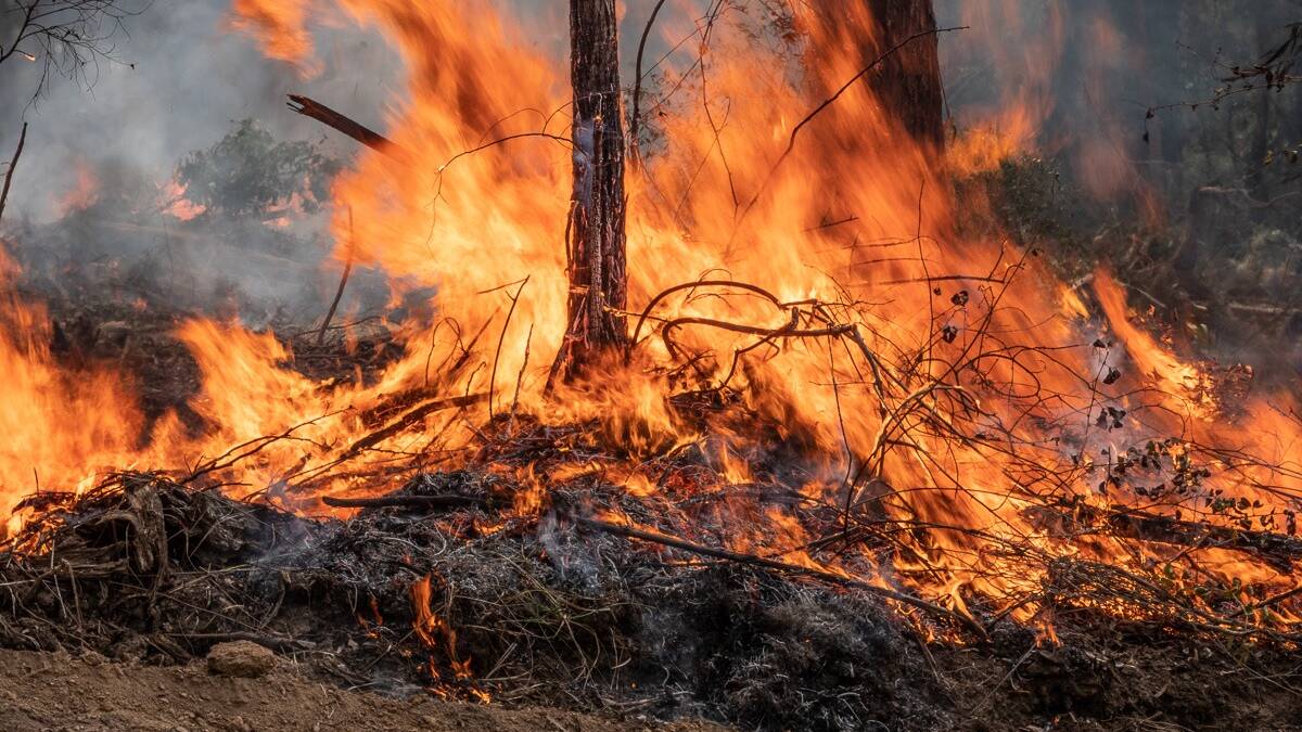 Add your voice to the NSW bushfire inquiry