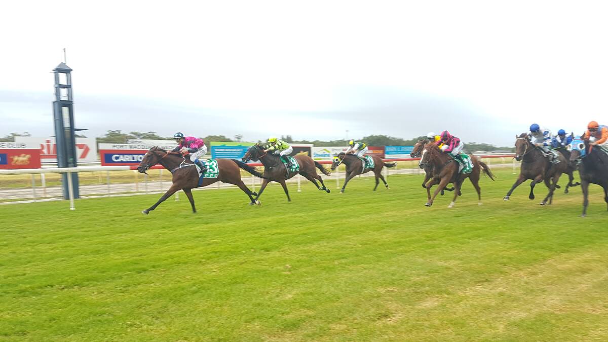 Good win: No Qualm, ridden by Wendy Peel, finishes first past the post in Port Macquarie on Friday. Photo: Rob Dougherty