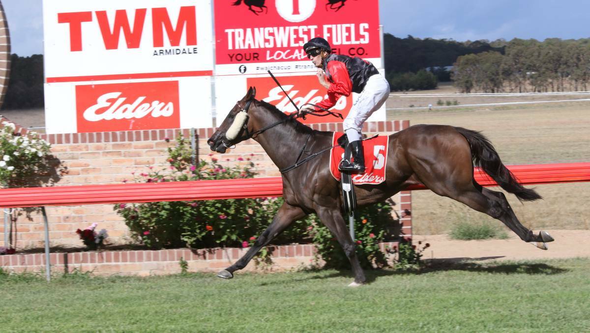KODAK MOMENT: Ben Looker eases up on I Wanna Be A Jeep to claim the 2019 Walcha Cup. Bradley Photos