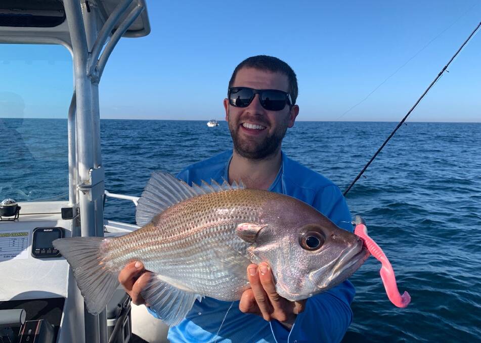 Our Berkley Pic of the Week is Ryan Ford with this terrific pearl perch he recently caught off Port Macquarie on a soft plastic. Photo supplied